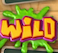 Wild