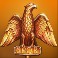 Aquila