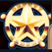 Marshall Badge
