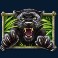Panther