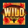 Regular Wild