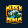 Super Bonus