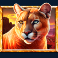 5 wild buffalo katt symbol