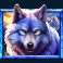 5 wild buffalo ulv symbol