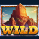 5 wild buffalo wild symbol