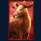 buffalo king untamed megaways elg symbol