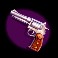 jackpot hunter pistol symbol