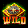 jackpot hunter wild symbol