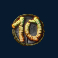 wild survivor 10 symbol