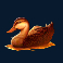 wild survivor and symbol