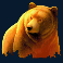 wild survivor bjørn symbol