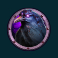 stormforged ravn symbol