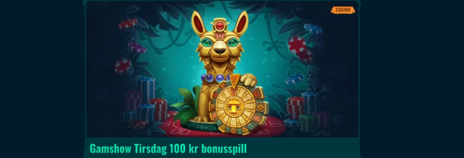 spinanga casino gamshow tirsdag