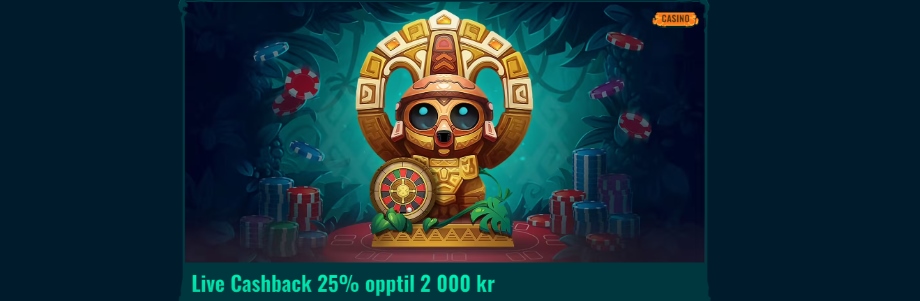 spinanga casino live cashback