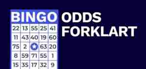 bingo odds forklar
