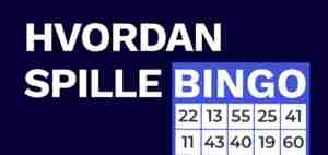 hvordan spille bingo