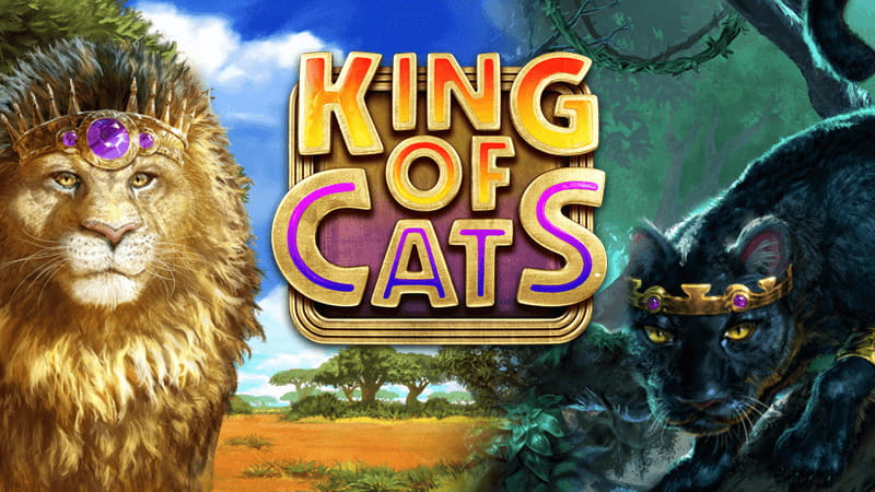 King of Cats Megaways Gratisspinn