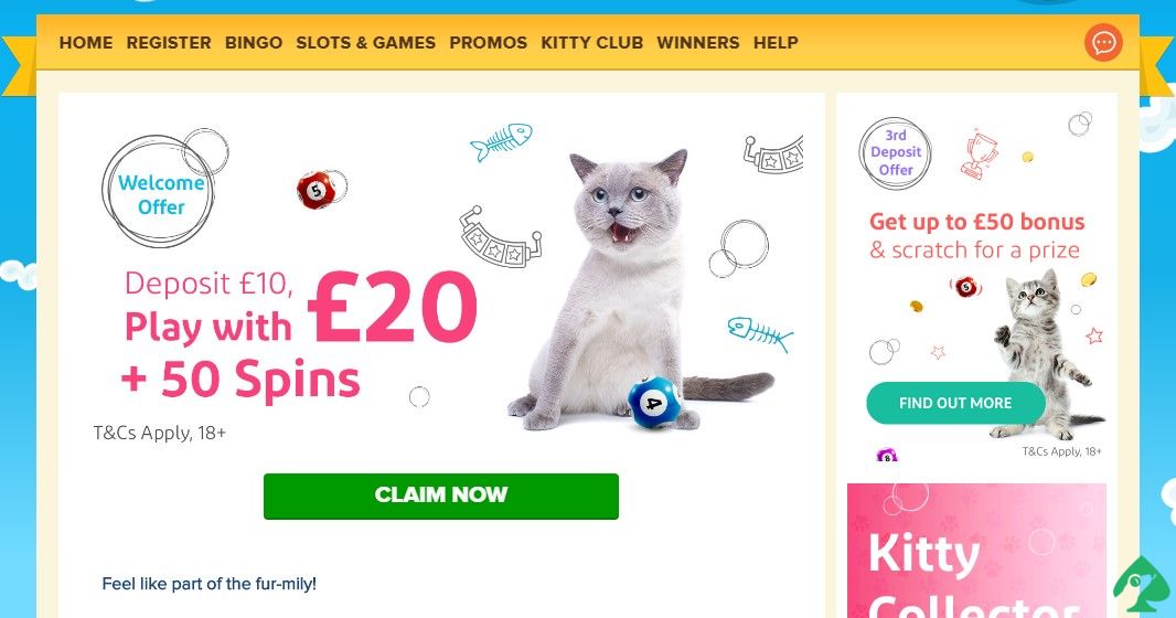 kitty bingo 20 free spins