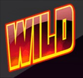 symbol wild twin spin deluxe slot