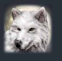 symbol white wolf shamans dream slot