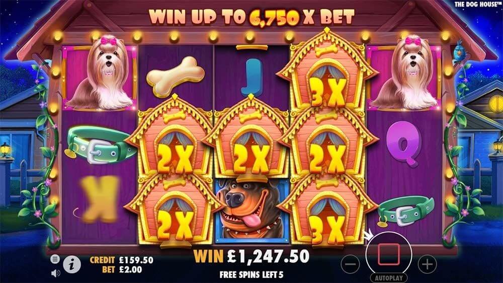 Dog slots. Dog House слот. Игровой автомат собаки. Слот собаки казино. Игровой автомат дог Хаус.