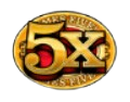 symbol 5x mega money multiplier slot