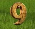 symbol 9 fortune hill slot