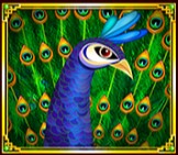symbol bird heavenly ruler slot