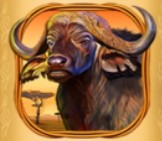 symbol bull savannah cash slot