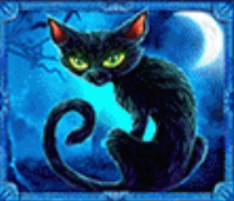 symbol cat halloween fortune ii slot