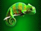 symbol chameleon epic ape slot