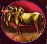 symbol cow safari heat slot