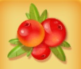 symbol cranberry berry bonanza slot