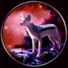 symbol dog panther moon slot