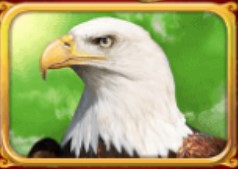 symbol eagle white king ii slot