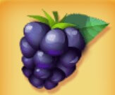 symbol elderberry berry bonanza slot