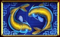 symbol fish yun cong long slot