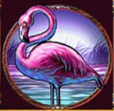 symbol flamingo safari heat slot