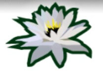 symbol flower fountain of youth slot