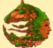 symbol forest goddess of life slot