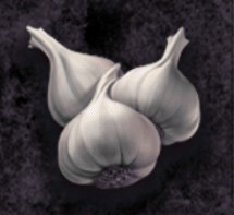 symbol garlic vampire princess of darkness slot