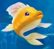 symbol gold fish charm of the sea slot