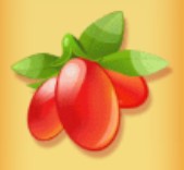 symbol gooseberry berry bonanza slot