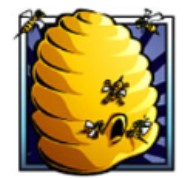 symbol hive bonus bears slot