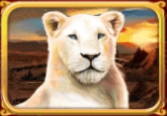 symbol lioness white king ii slot