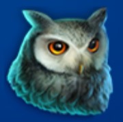 symbol owl stallion strike slot