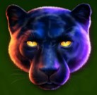symbol panther panther pays slot