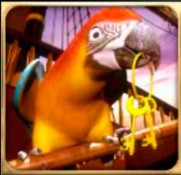 symbol parrot captains treasure pro slot