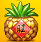 symbol pineapple zhao cai tong zi slot
