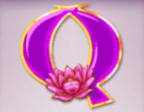 symbol q ri ri sheng cai slot